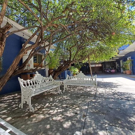 Casa Refugio Budget House 8 Rooms & 9 Bathrooms Oaxaca Esterno foto